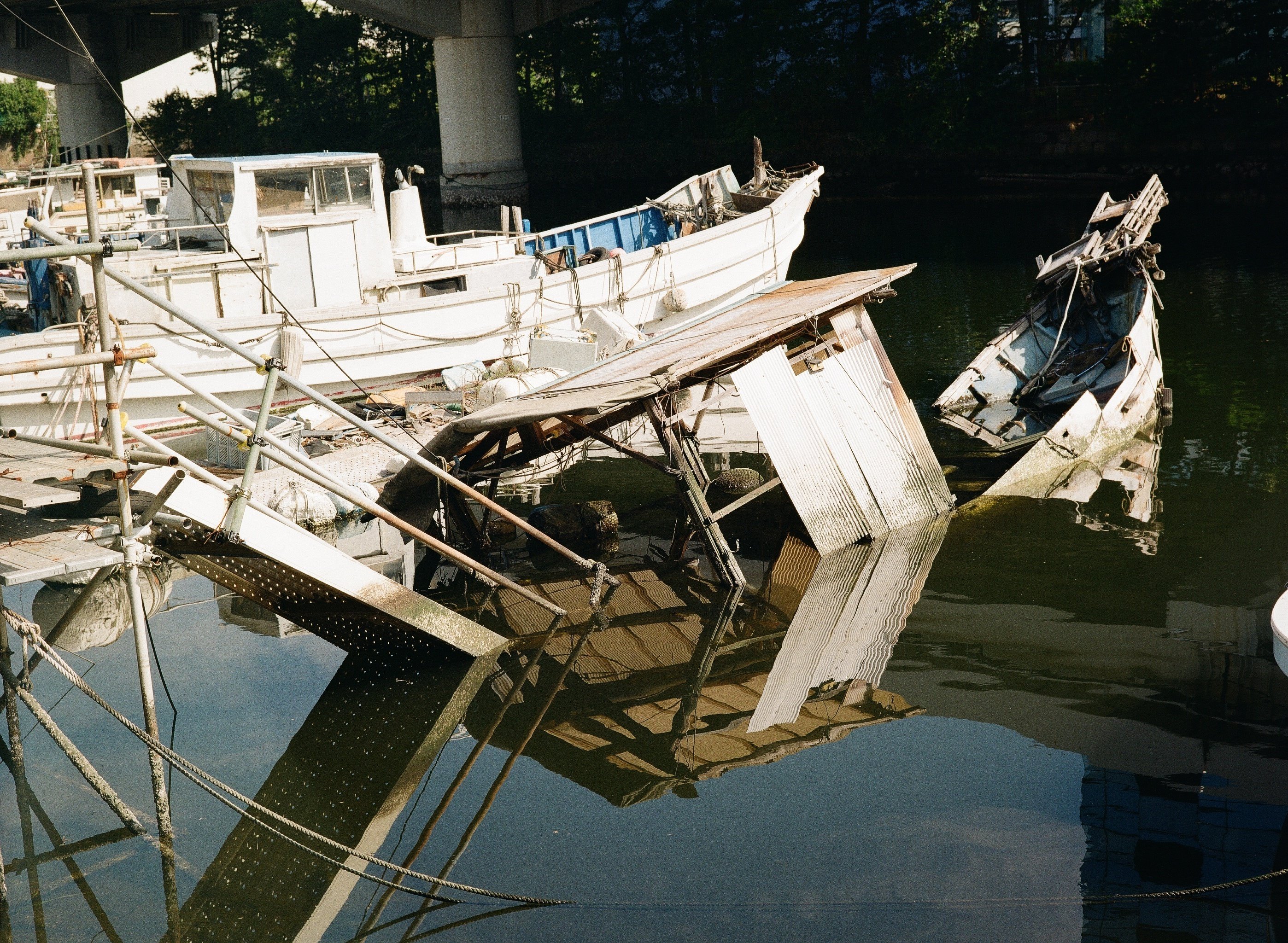 おかえり富士フィルム！ [作例あり]FUJICA GS645｜Yoshimin📸(ライカ