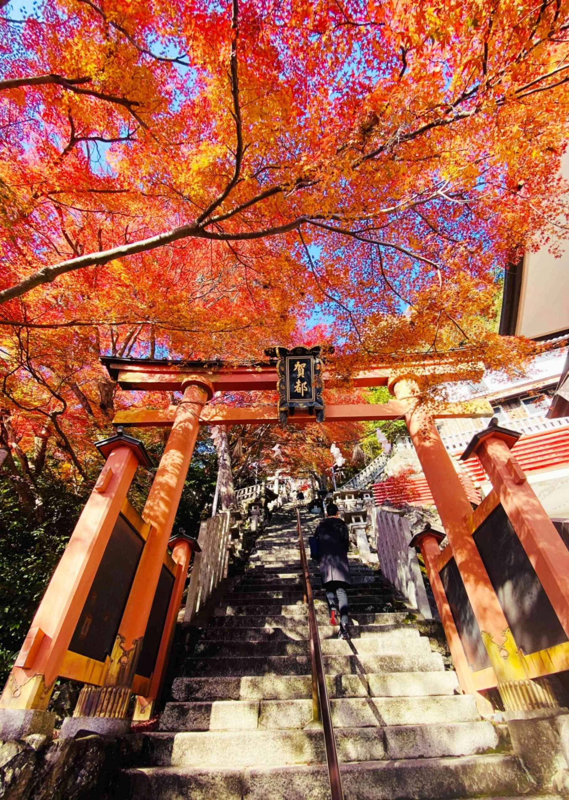 太郎坊宮｜Ange