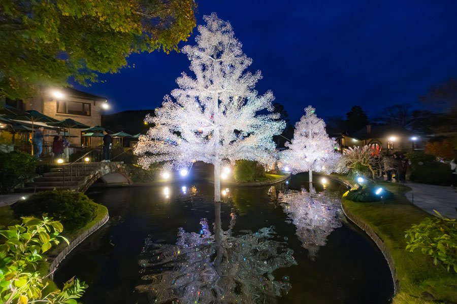ガラスのツリー＠箱根ガラスの森美術館｜borichan | 旅するカメラ