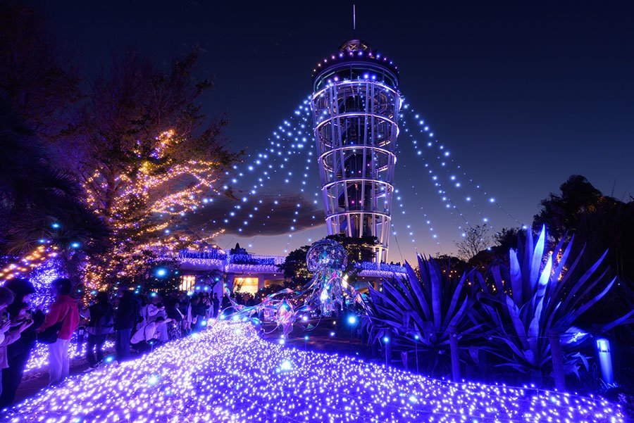 ダイアモンドフォトン PDP マルチドーム 商品紹介-健康機器 | 健康文化をクリエイト「株式会社レインボー」