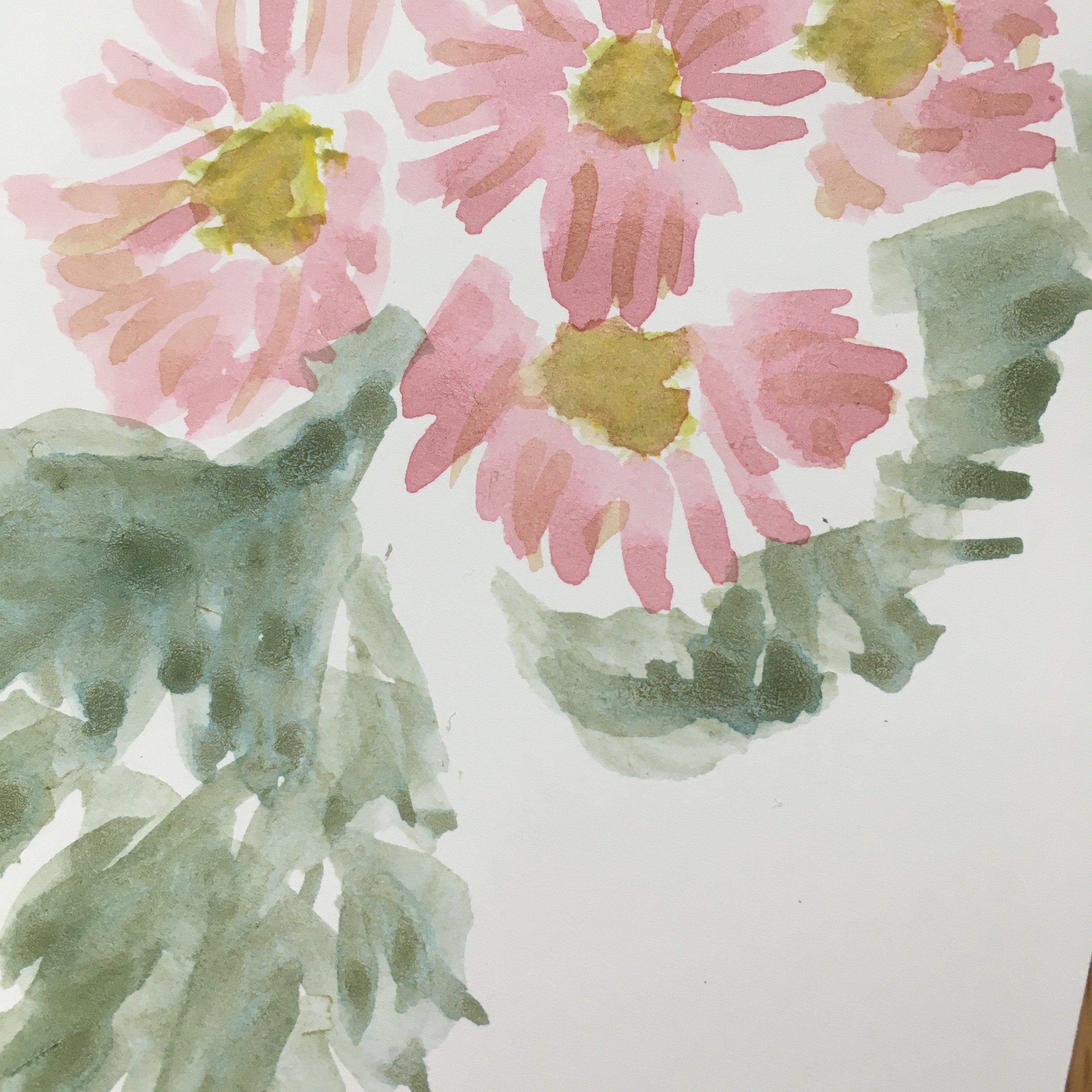 ポストカードサイズ原画 野菊 postcard art wild chrysanthemum flower