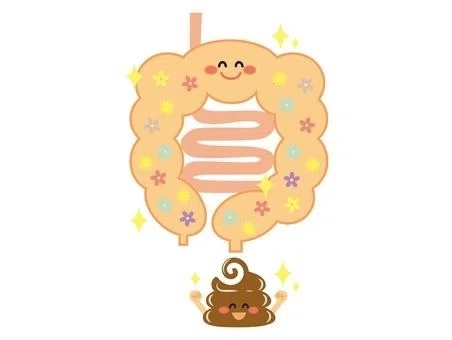〜快便で一日がうまくいきそうな気がする〜|ミックスナッツ