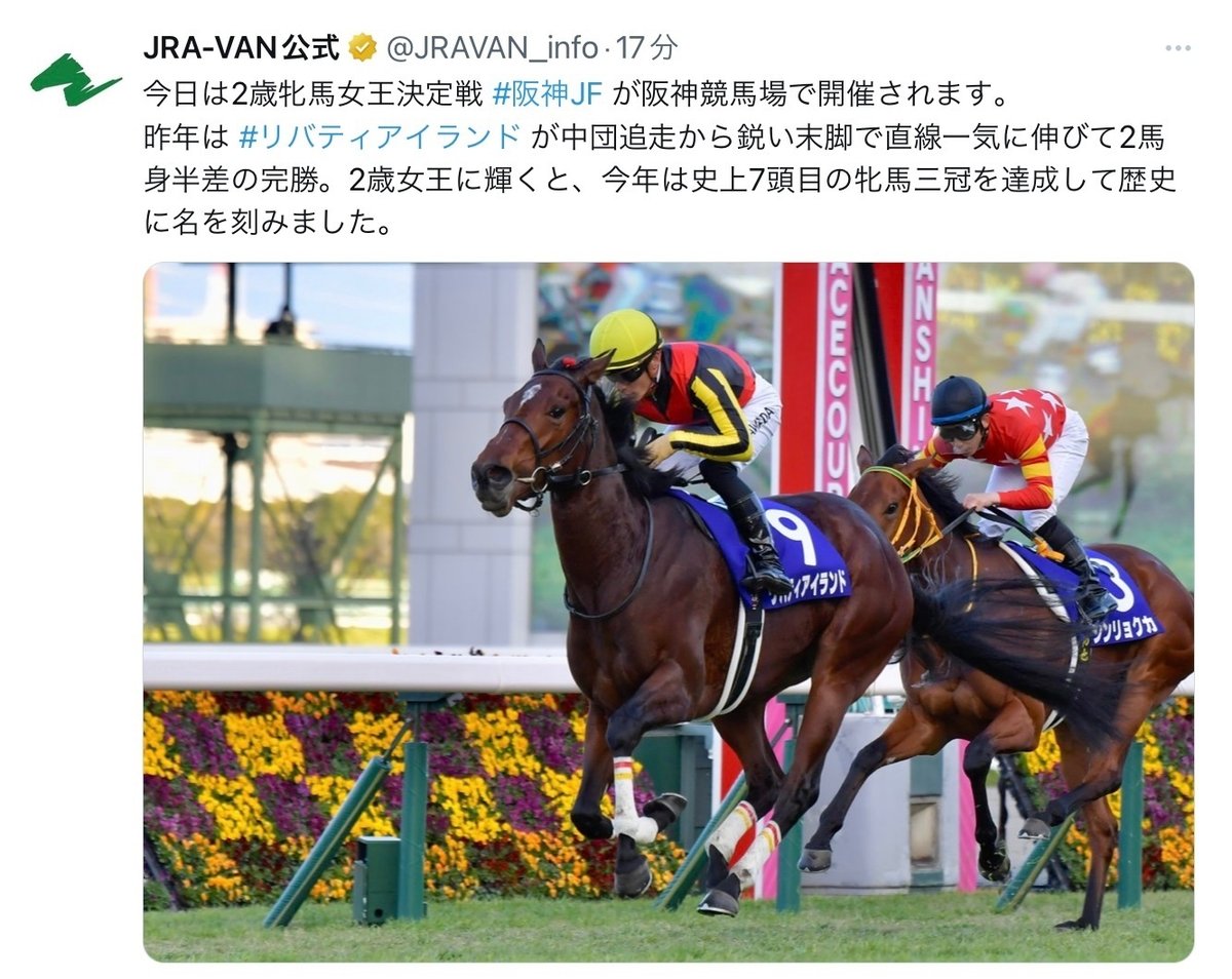 JRA］G1阪神ジュベナイルフィリーズ2023サインレポート｜鳩胸  