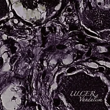 HCK-054 DISTURD / ULCER ”Warfare” split CD｜HARDCORE KITCHEN