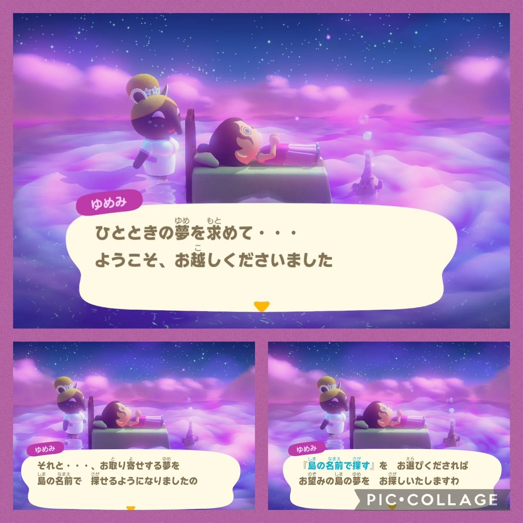 夢見訪問(Y001-01) にゃんこママ様:こてつ島①｜リエナ