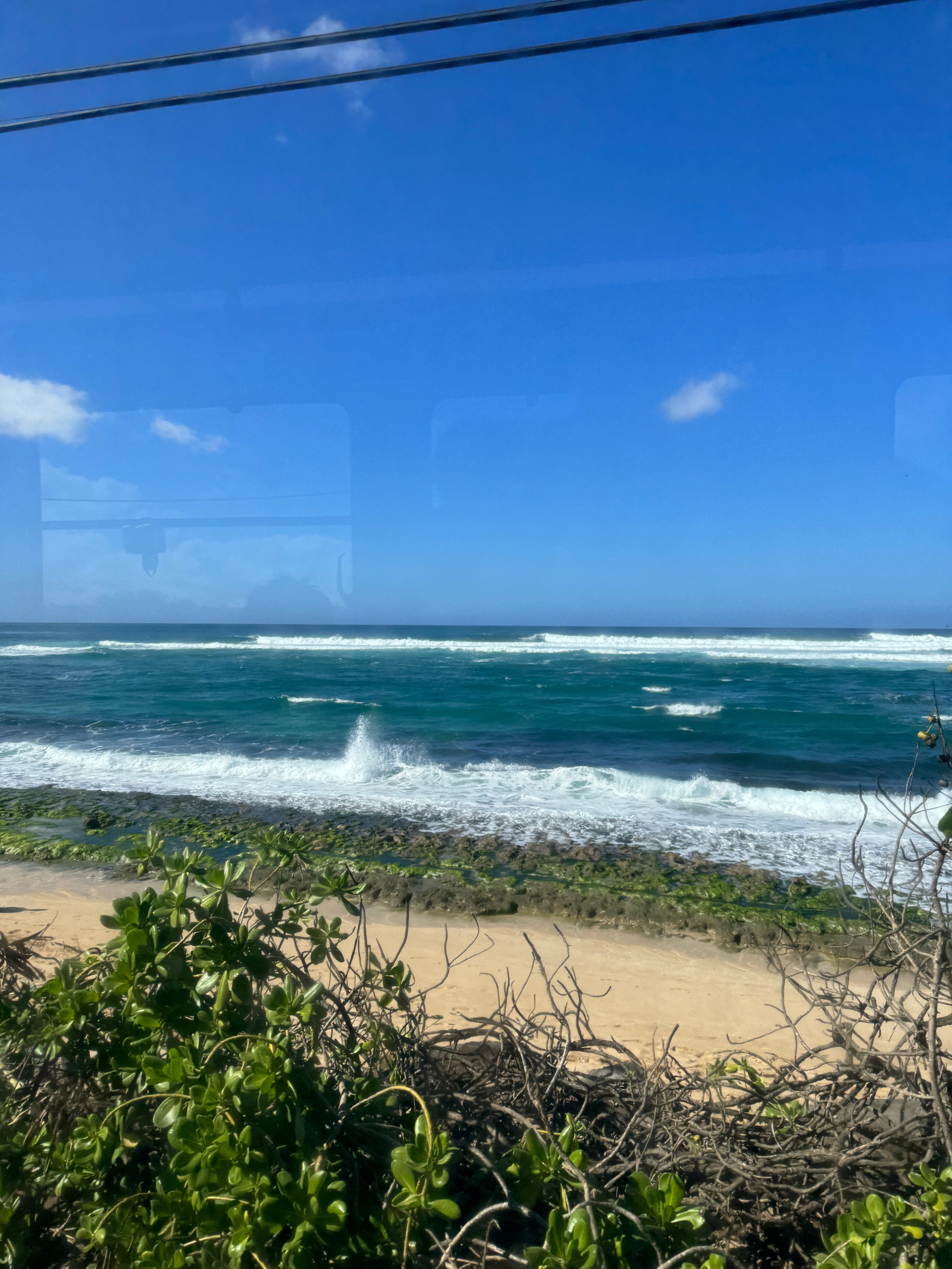 ハワイ旅行】バス🚌を使ってオアフ島ほぼ一周ハレイワ編！ ｜yoppy