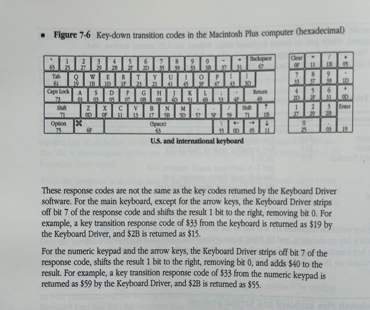 雪*風様 Apple Macintosh Plus 1Mb （動きません） 雪*風様 Apple Macintosh Plus 1Mb （動きません） 雪*風様 Apple