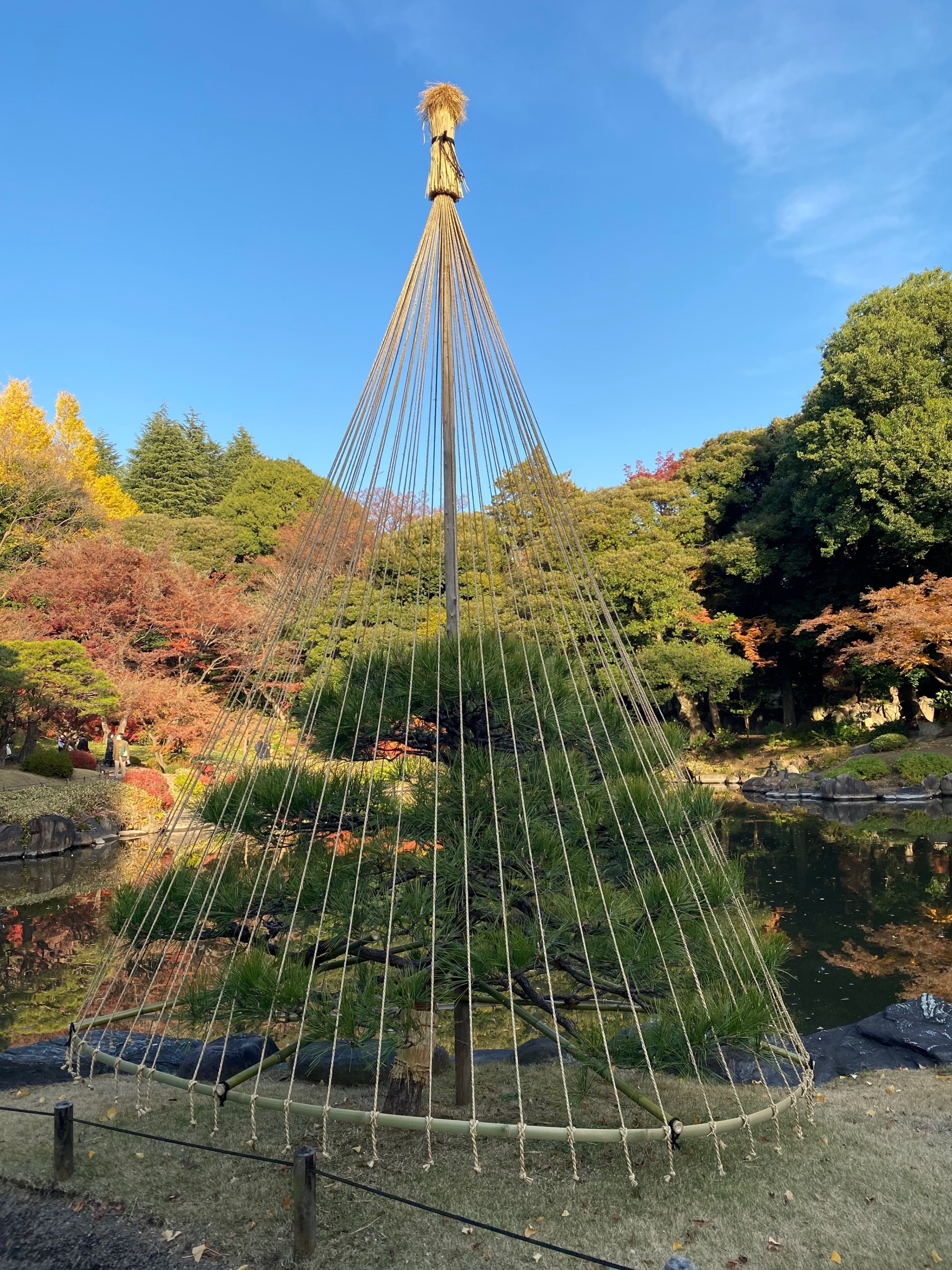 東京探索記 4 旧古河庭園｜露塵散