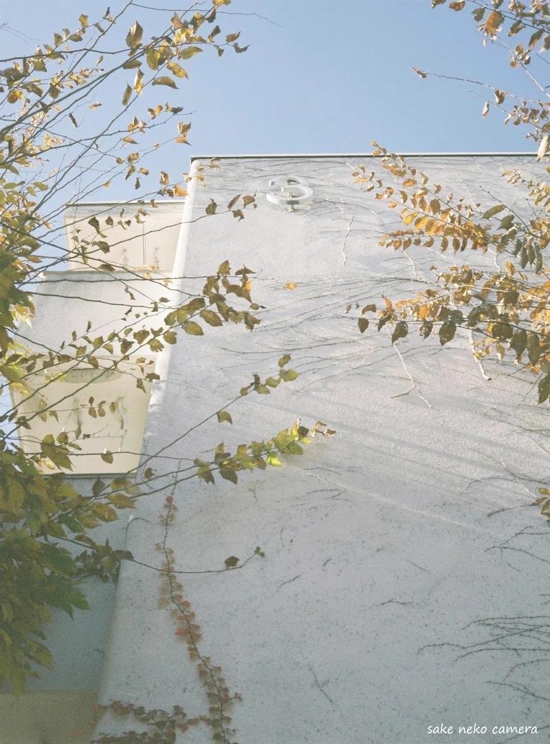 冬の弱い光と、二つのフィルム｜キハ2222