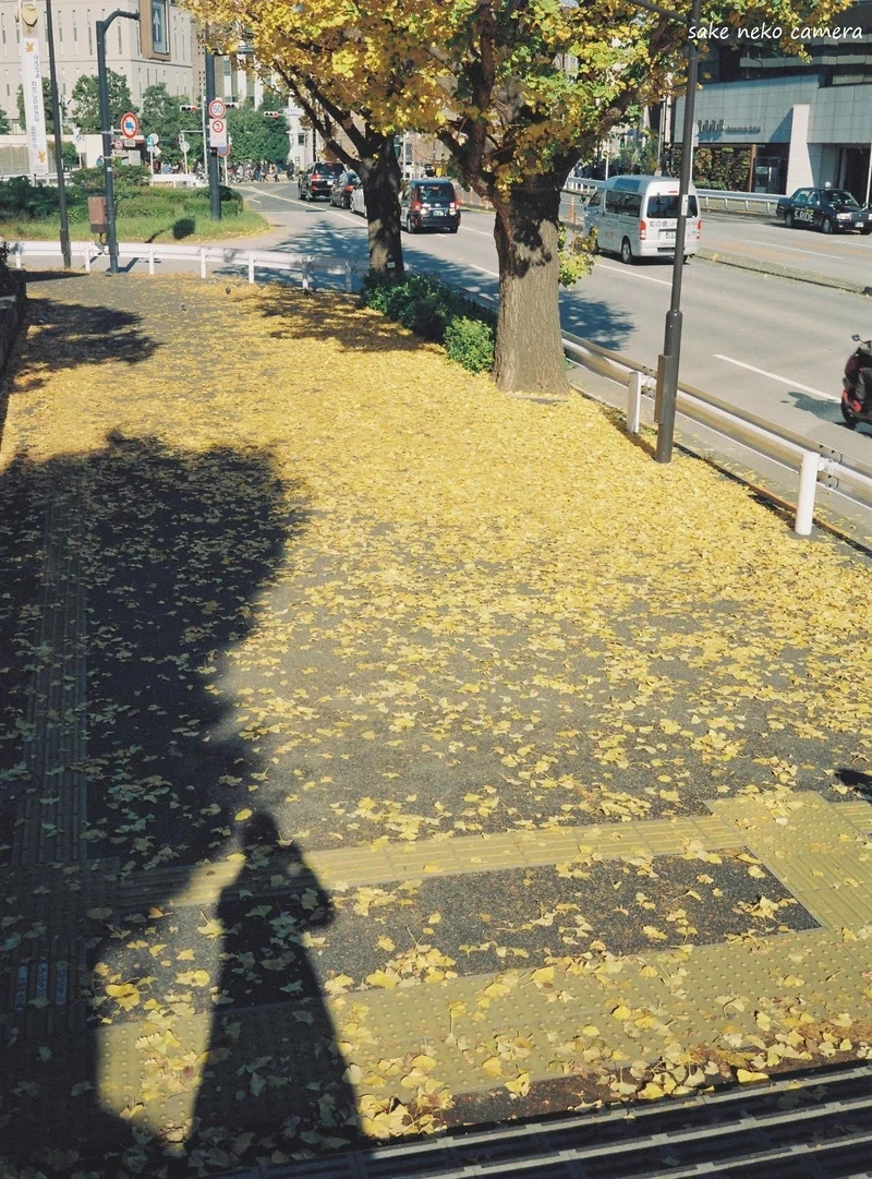 冬の弱い光と、二つのフィルム｜キハ2222