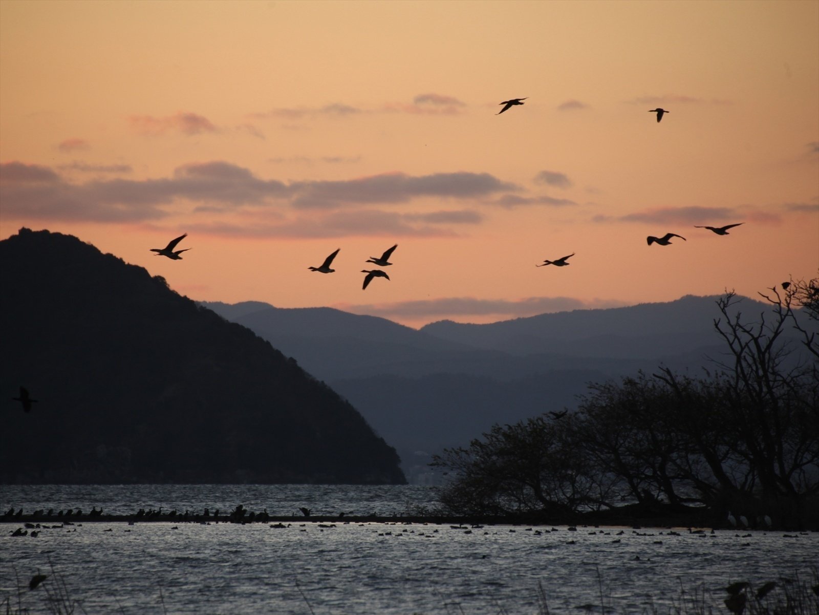 夕焼け鳥の休息 夕焼け鳥の休息 夕焼け鳥の休息 夕焼け鳥の休息