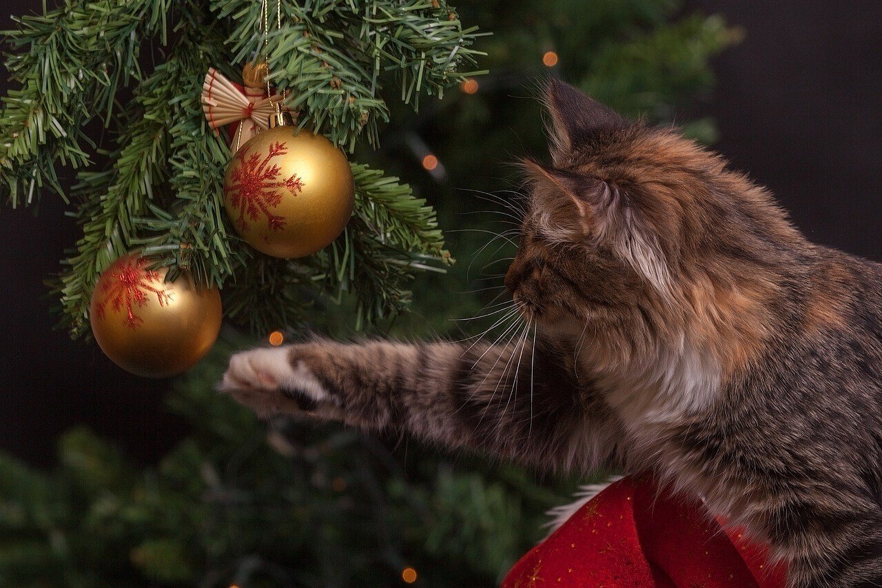 【ネコ】クリスマスツリー 楽天市場】クリスマスツリー（猫用品｜ペット・ペットグッズ）の通販