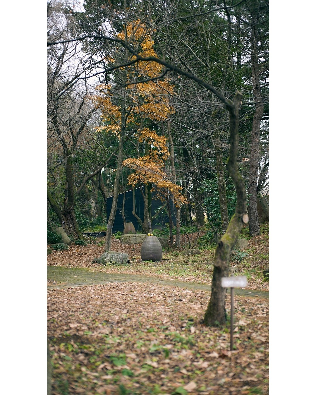 芸術家として生きるということ：画家今井繁三郎さんに触れ（山形県鶴岡