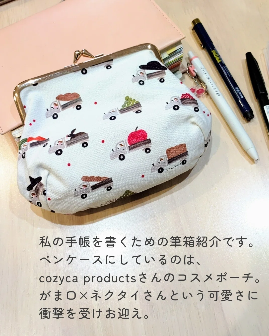 ペンケースの中身｜ちーさん✎手帳を書く人