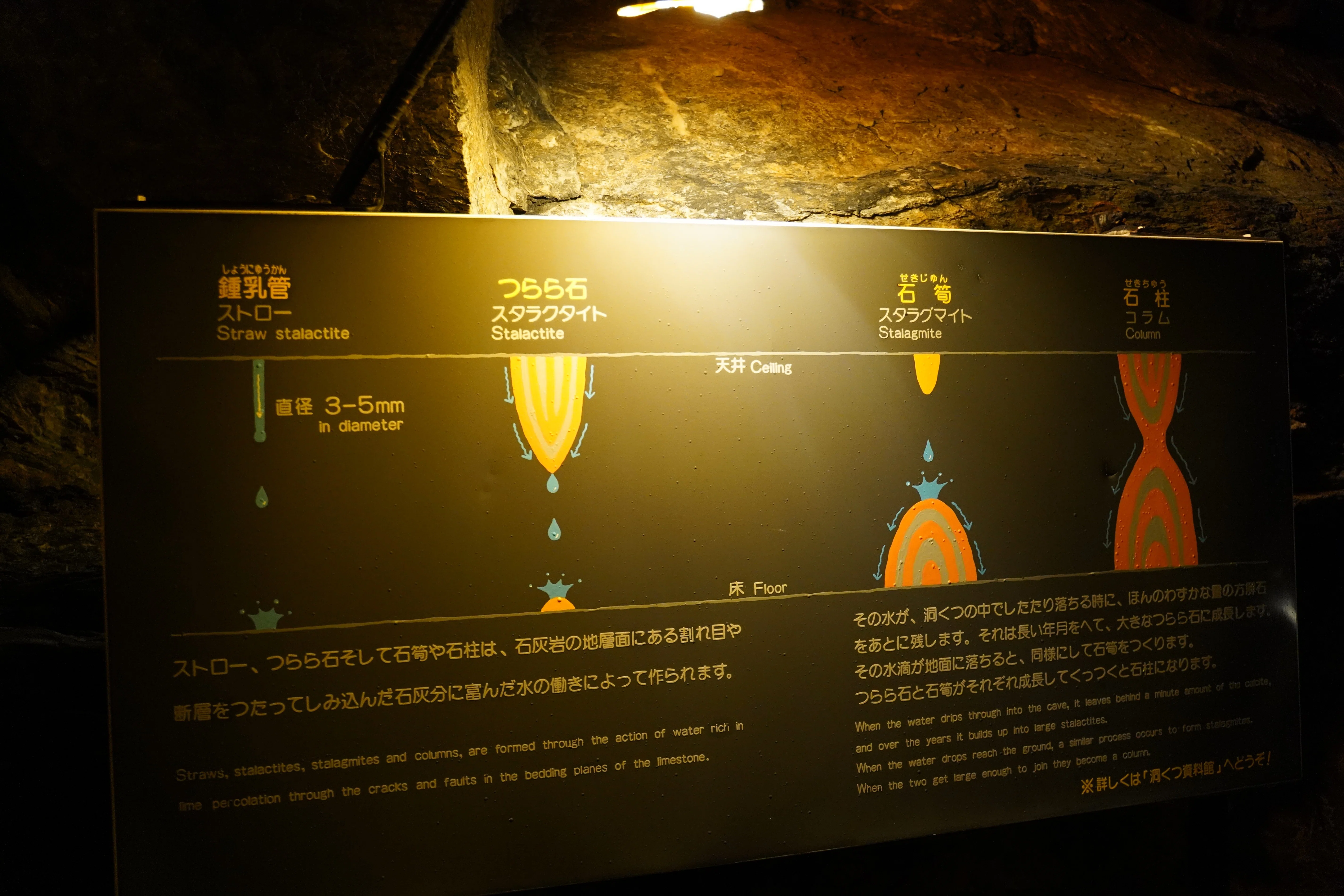 ようこそ地底世界へ【浜松ミクロ散歩「鍾乳洞」前編】｜浜松科学館