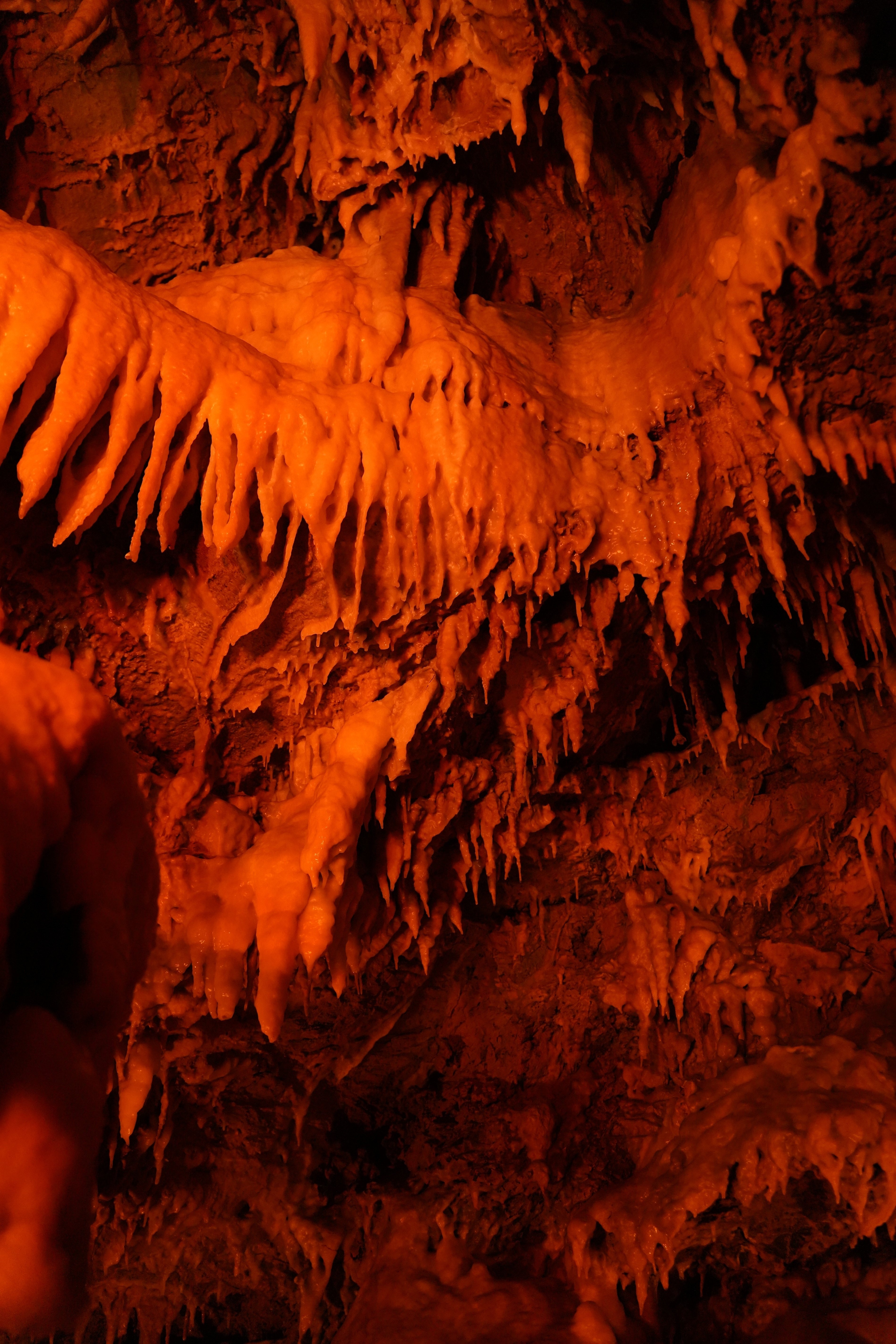 鍾乳石 ようこそ地底世界へ【浜松ミクロ散歩「鍾乳洞」前編】｜浜松科学館