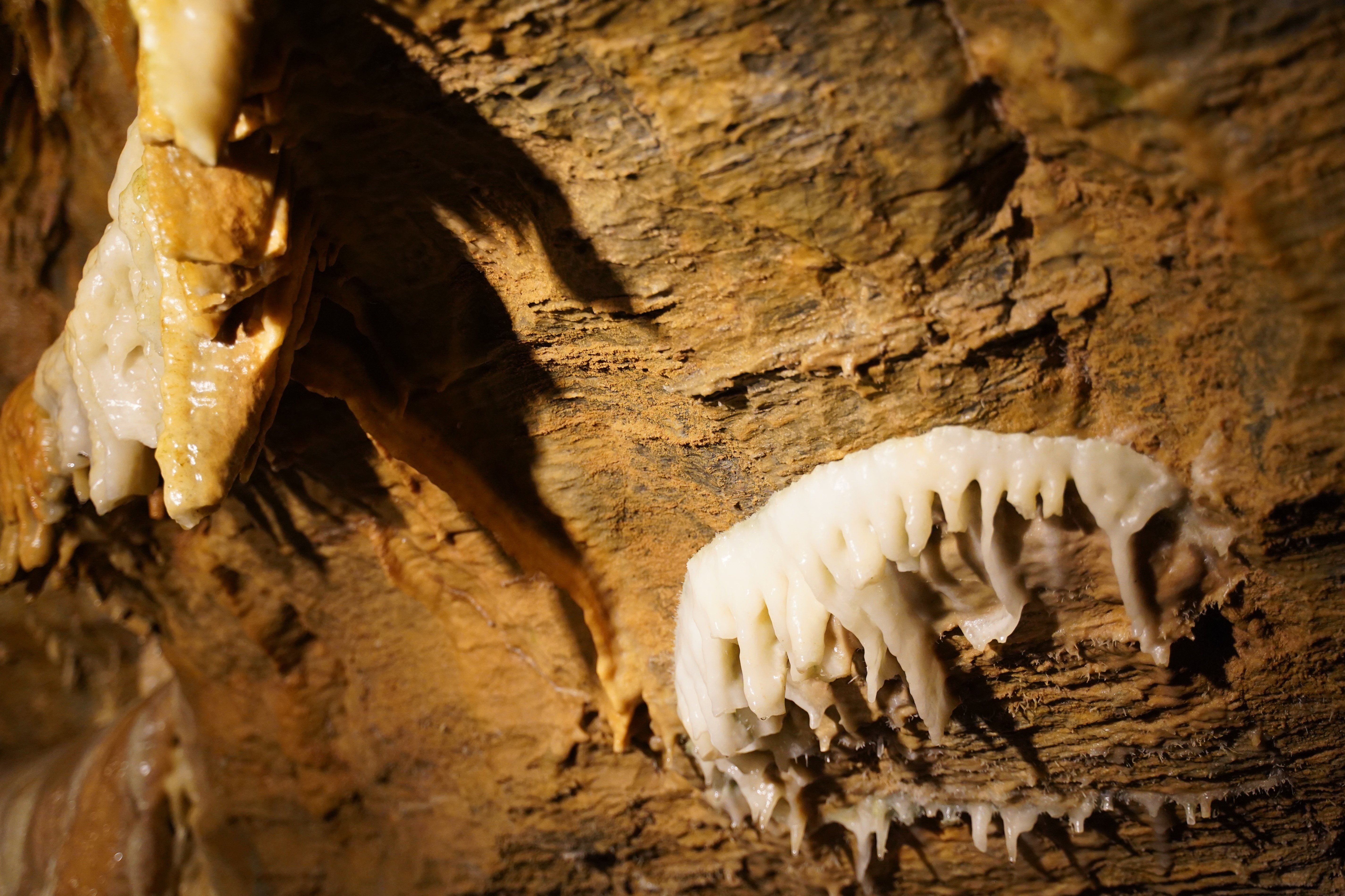 o(^▽^)o遥か昔、6000年(縄文時代)物の石筍(鍾乳石)の芸術品 o(^▽^)o遥か昔、6000年(縄文時代)物の石筍(鍾乳石)の