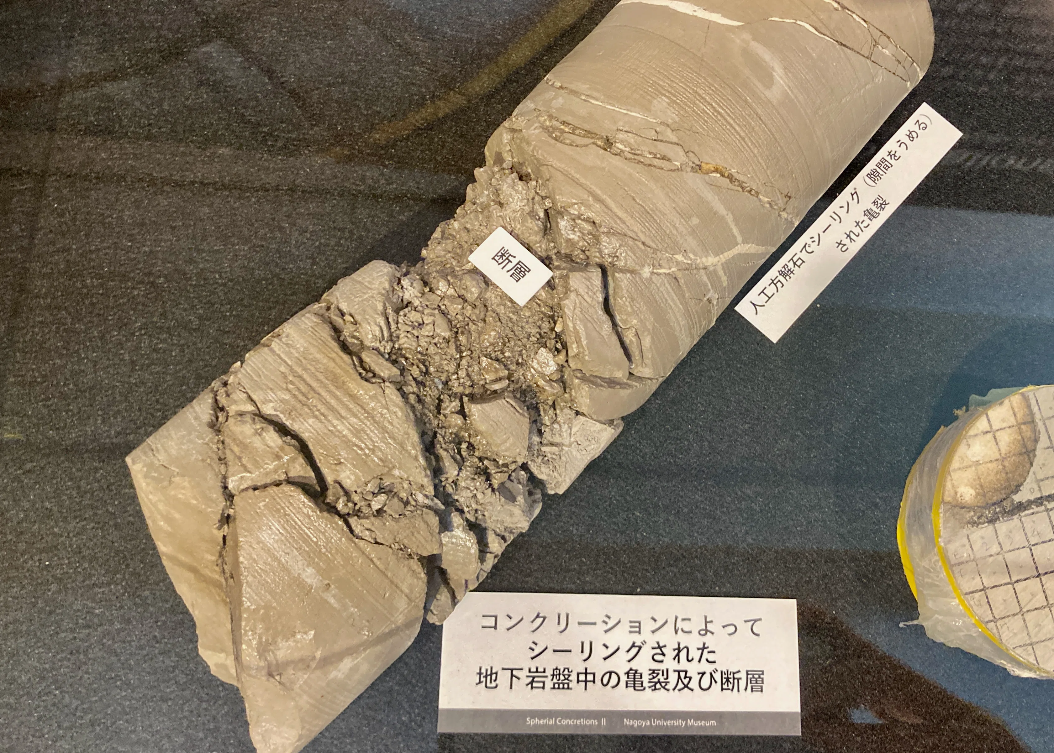 岩石標本]長崎県産 コンクリーション(団塊) 約10cm 世界初】ラマン分析