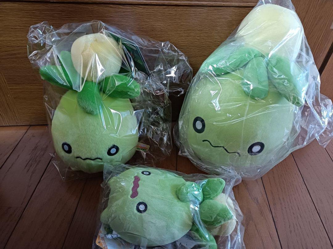 ミニーブに夢中｜はっさく大福839