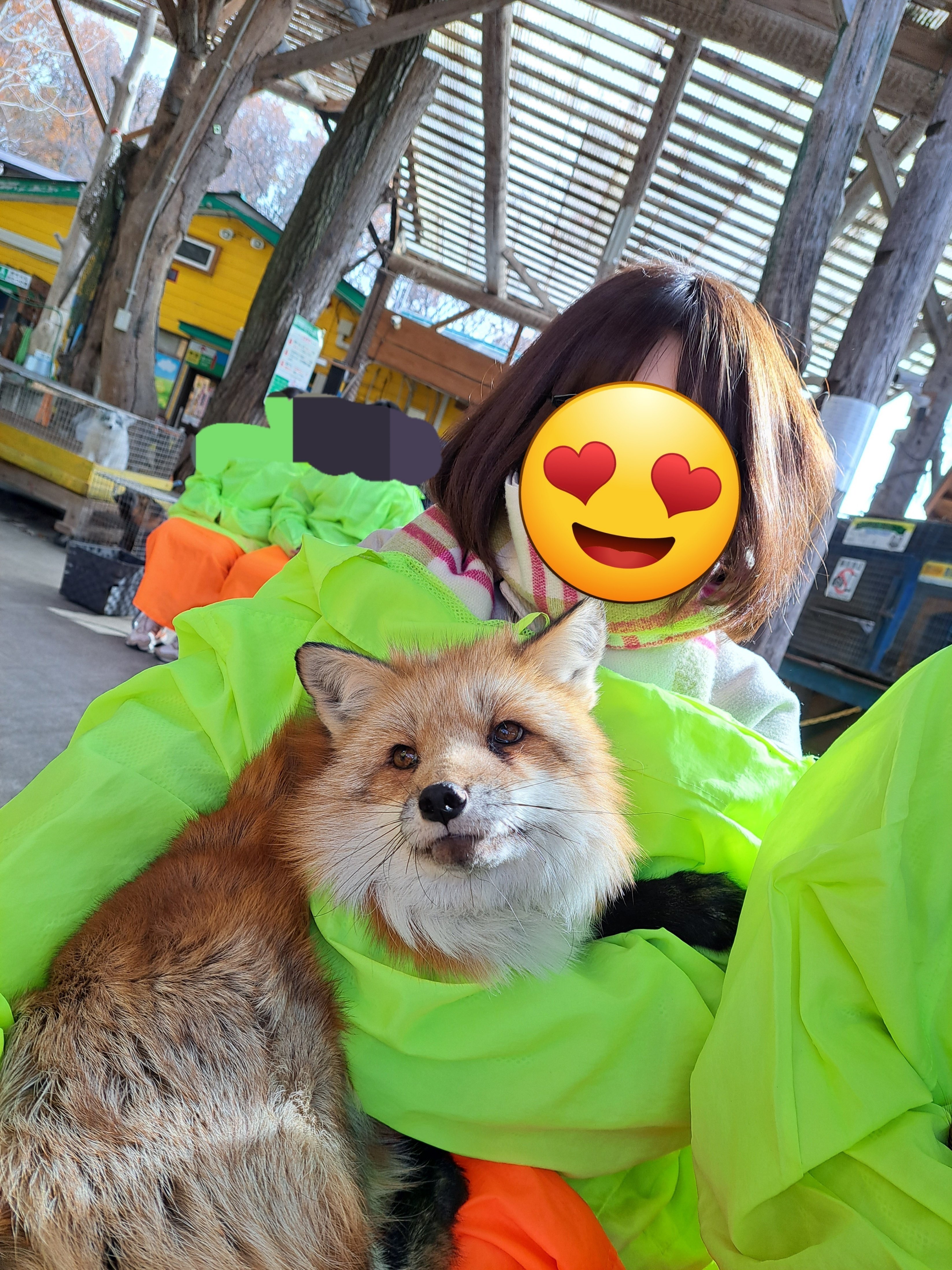 秘蔵キツネ写真 公開｜允可植物