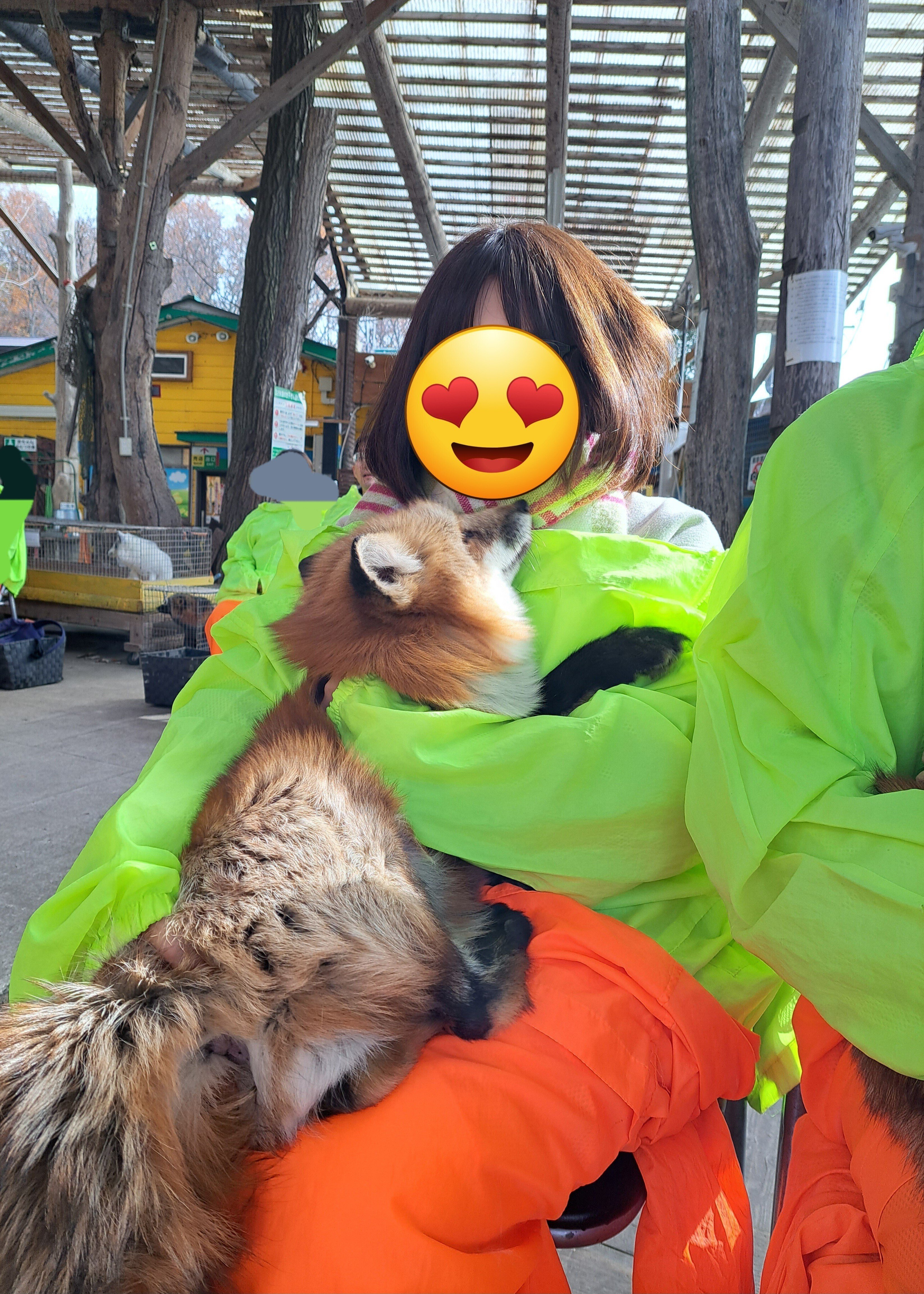 秘蔵キツネ写真 公開｜允可植物