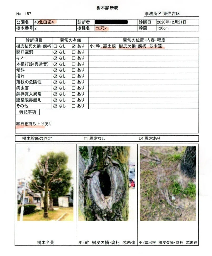 こにらが120cmでした。 配送料金