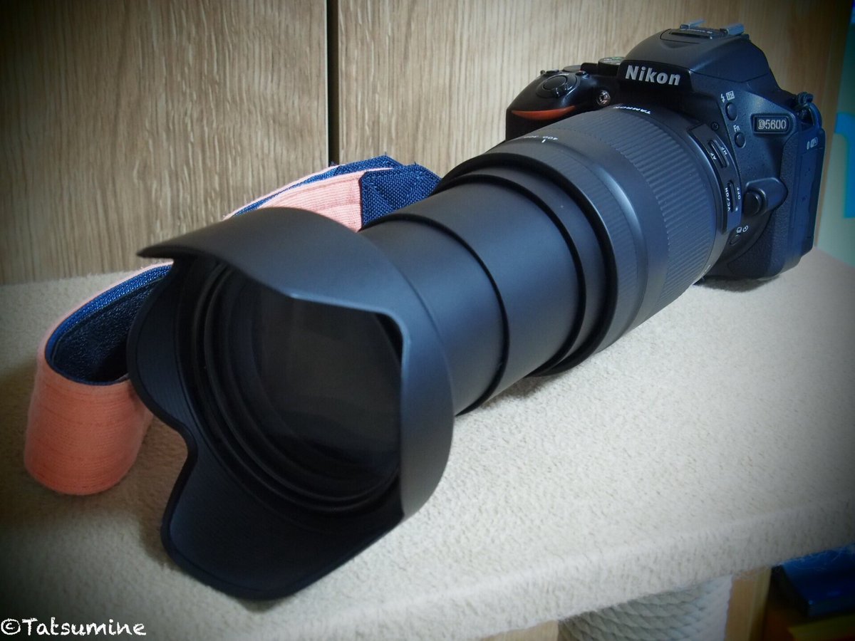 シャッター数1459枚 自撮りOK 入門モデル Nikon D5100 一眼レフ 無くなら 