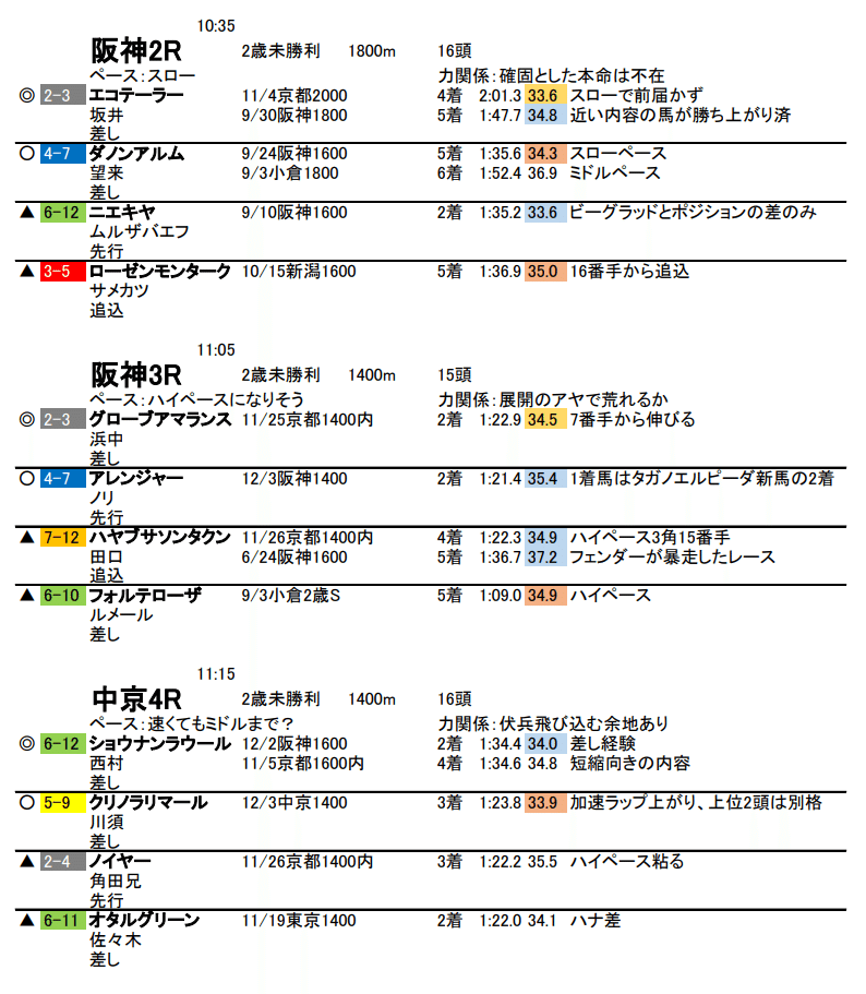 人生初競馬場・12/17中京競馬！｜京染しおつ