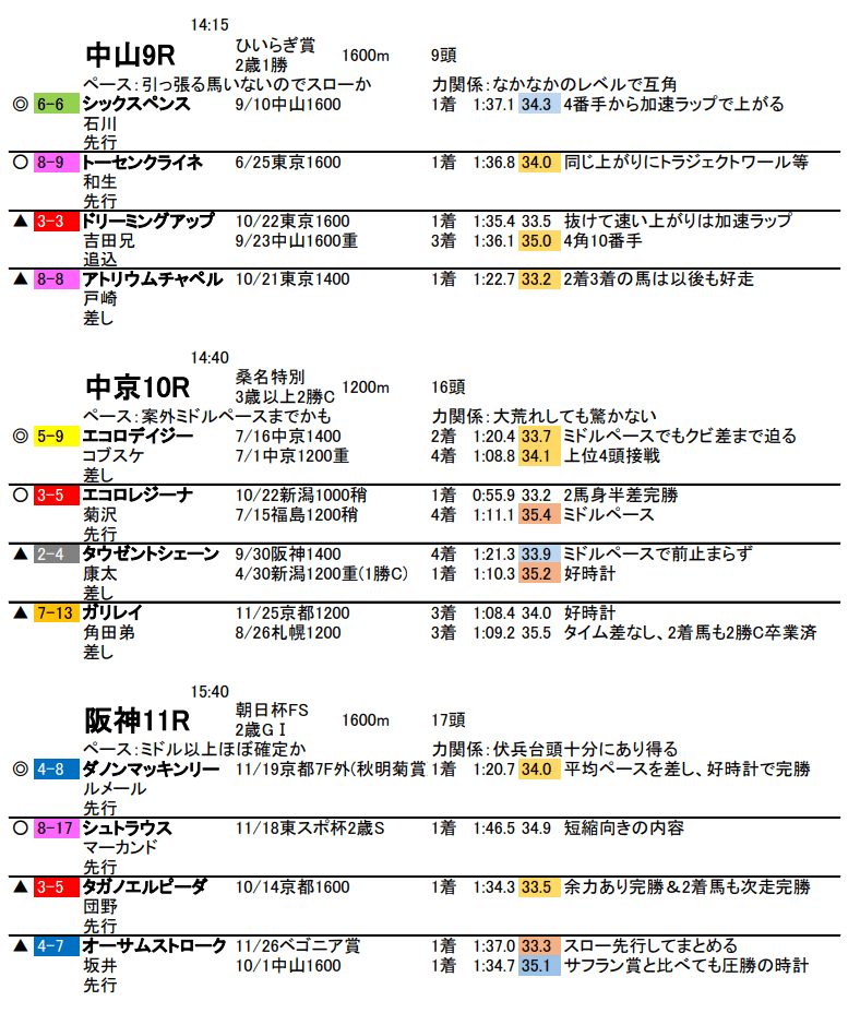 人生初競馬場・12/17中京競馬！｜京染しおつ