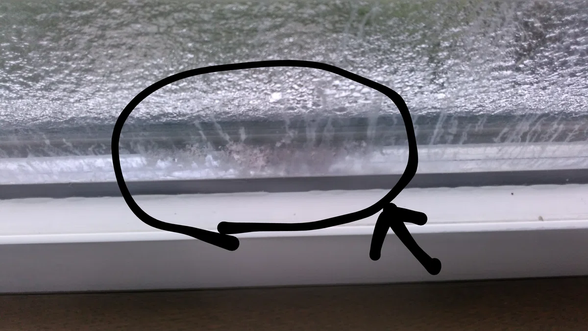 [Things that can happen if you live there] Insulated windows: How do ...