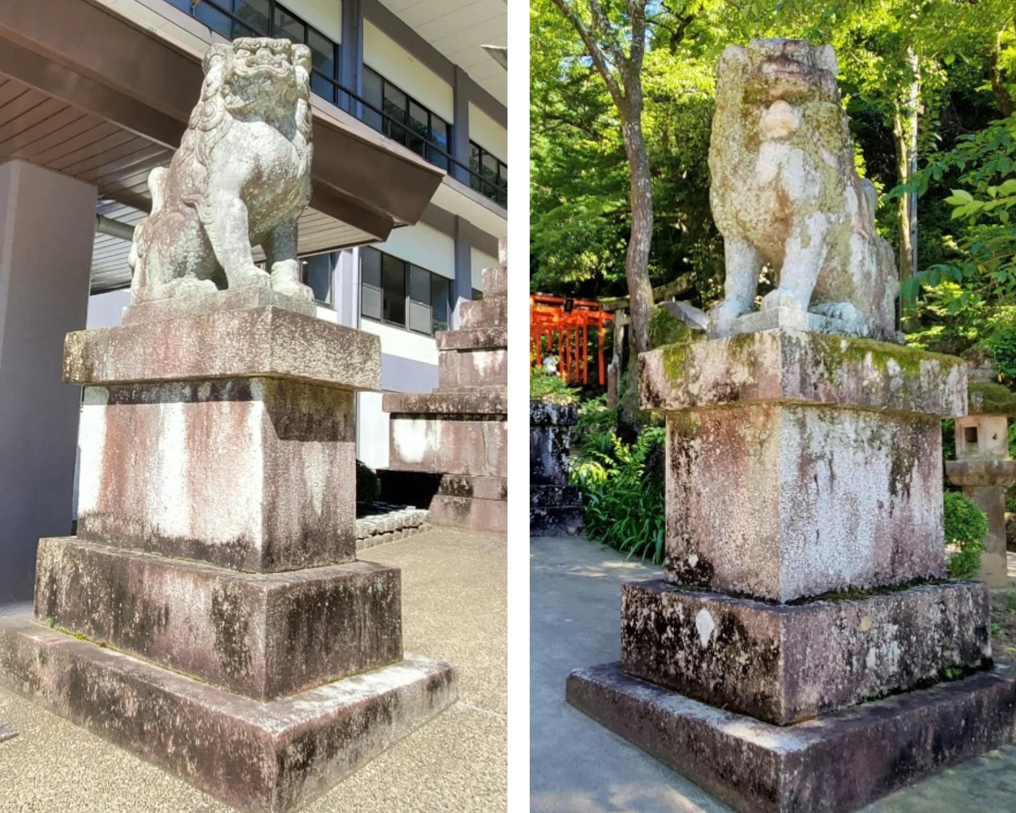 今さらながら、狛犬の魅力に気付いて｜千世（ちせ）