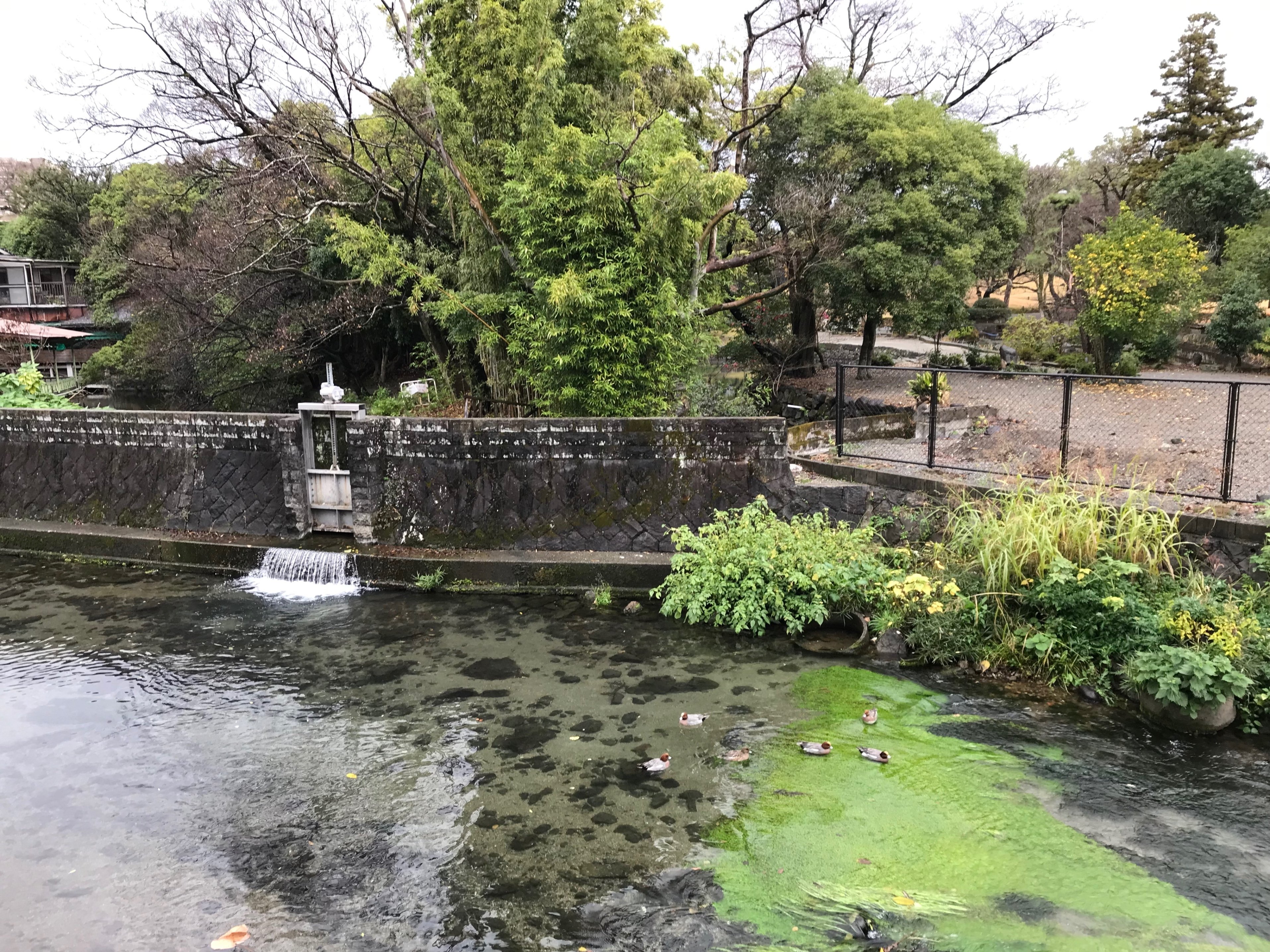 鉛筆画(熊本洋学校教師館・ジェーンズ邸）A4サイズ ジェーンズ邸復興プロジェクト始動!｜お知らせ｜公立大学法人