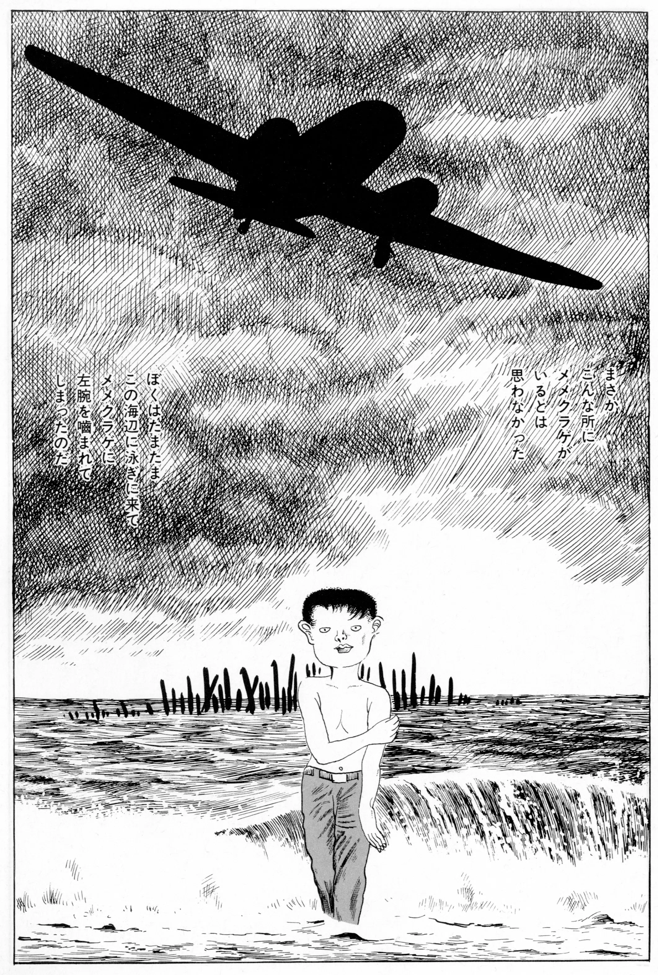 近藤聡乃 『はこにわ虫』 ： 記憶と夢の手ざわりを求めて｜年間読書人
