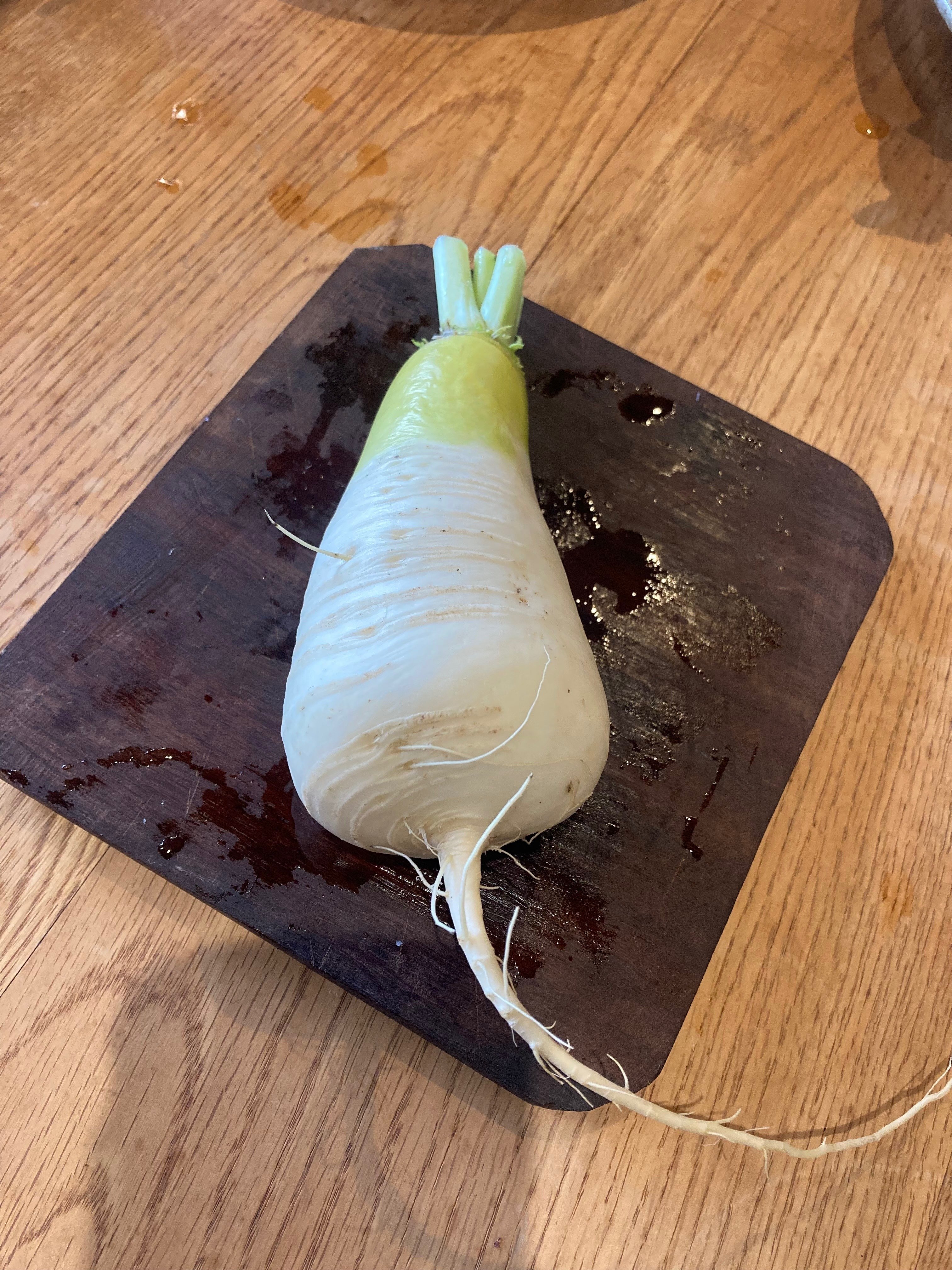 やさいのこと。「ねずみ大根」｜やさいとせかい めぐる八百屋オガクロ