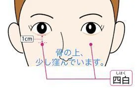 推しのツボ_攅竹、陽白、四白|太極堂鍼灸院