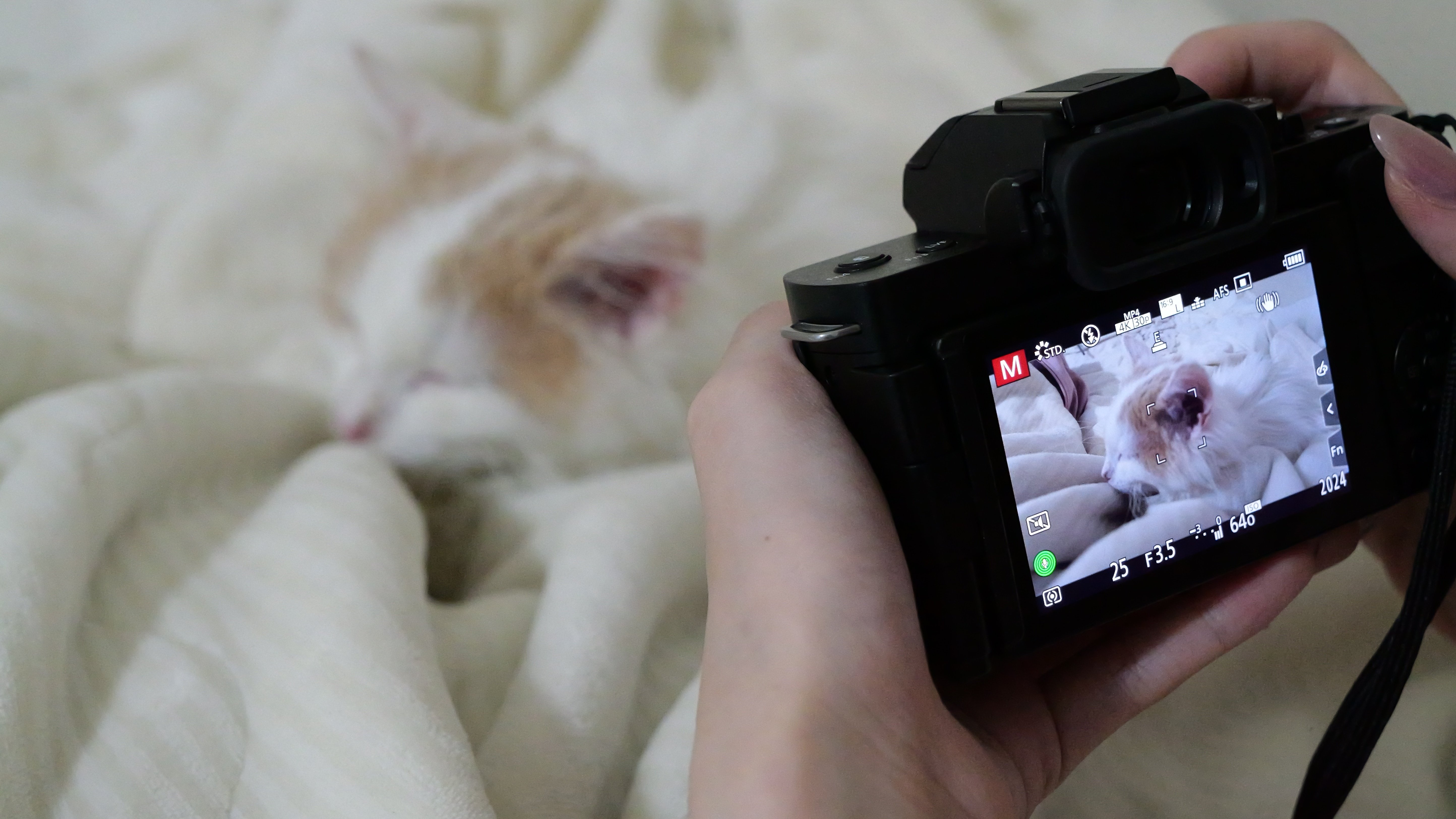 LUMIX Ability】初心者にも優しいカメラ！G100Dの便利機能を簡単解説