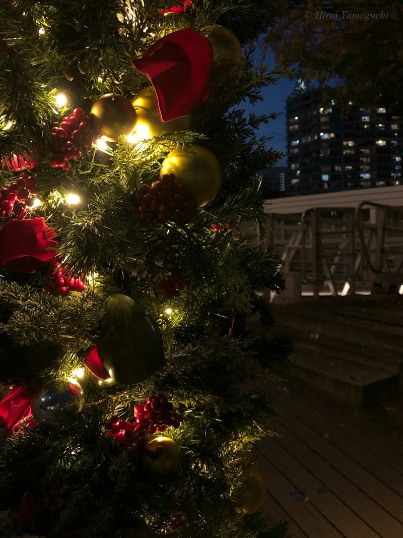 クリスマスツリーが手前にあり、奥に橋が見えています。夜景の写真です。イルミネーションが輝いています。