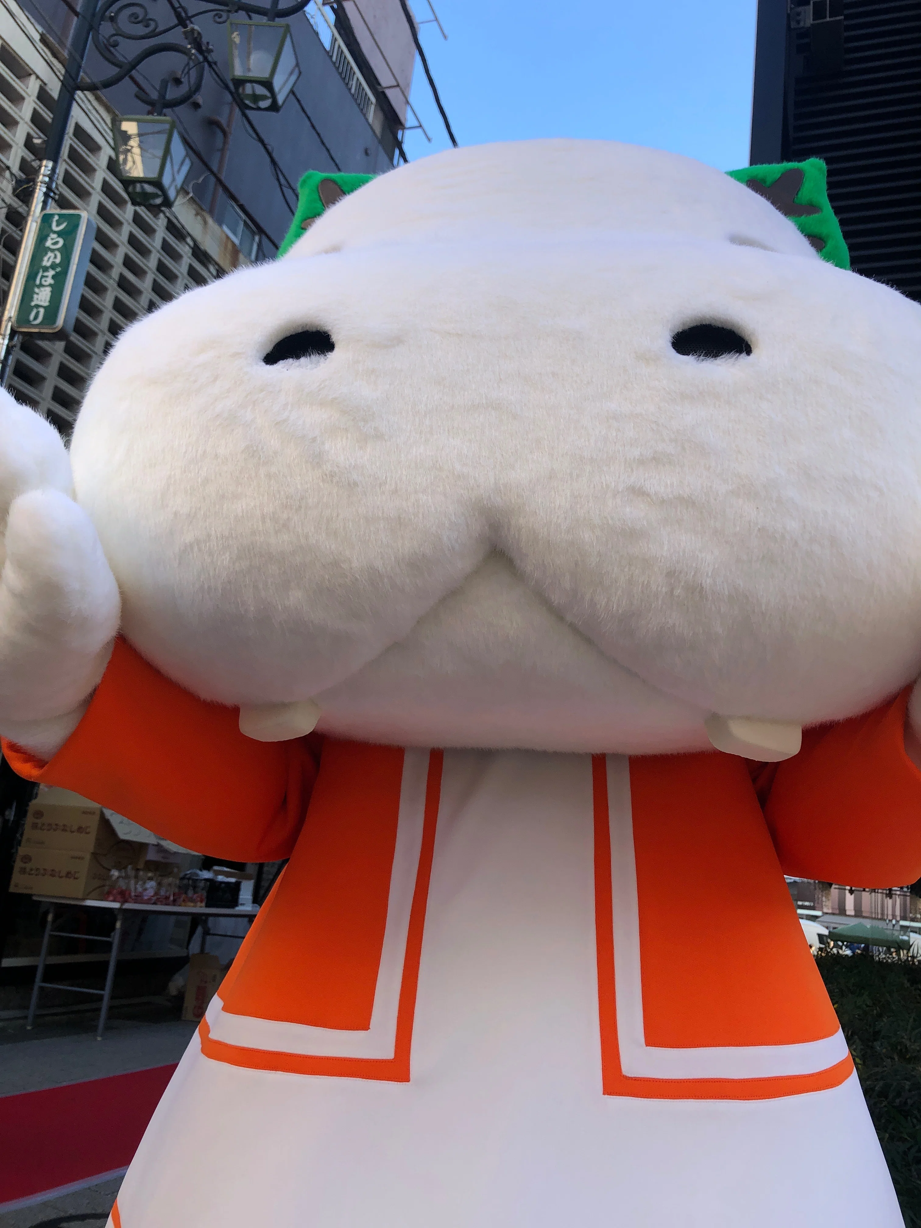 しらかばくん様☆オーダーページ キャラクターデザイン】しらかばくんについて｜あおきさくら