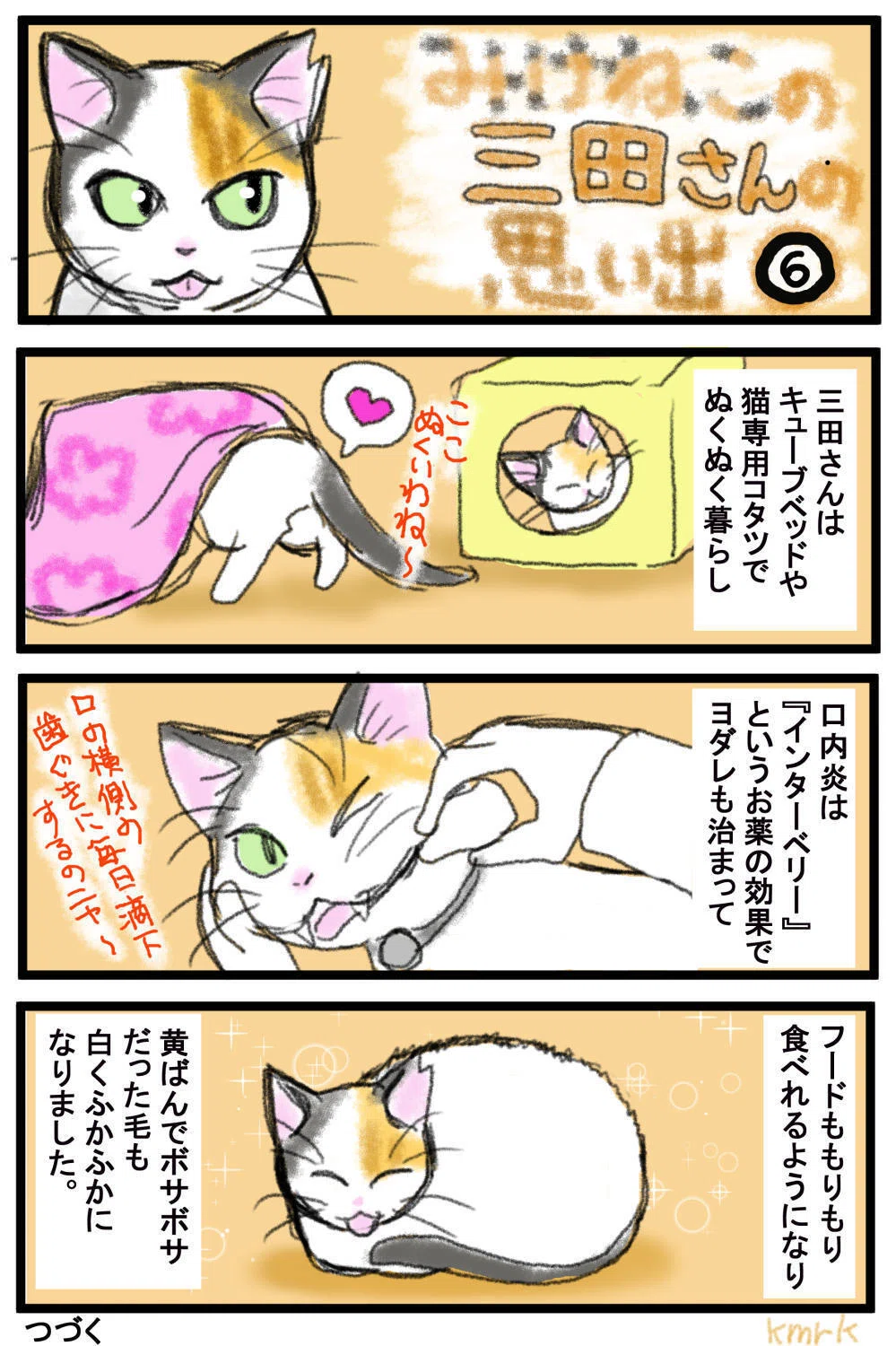 猫漫画】みけねこの三田さんの思い出⑥｜けもりけ