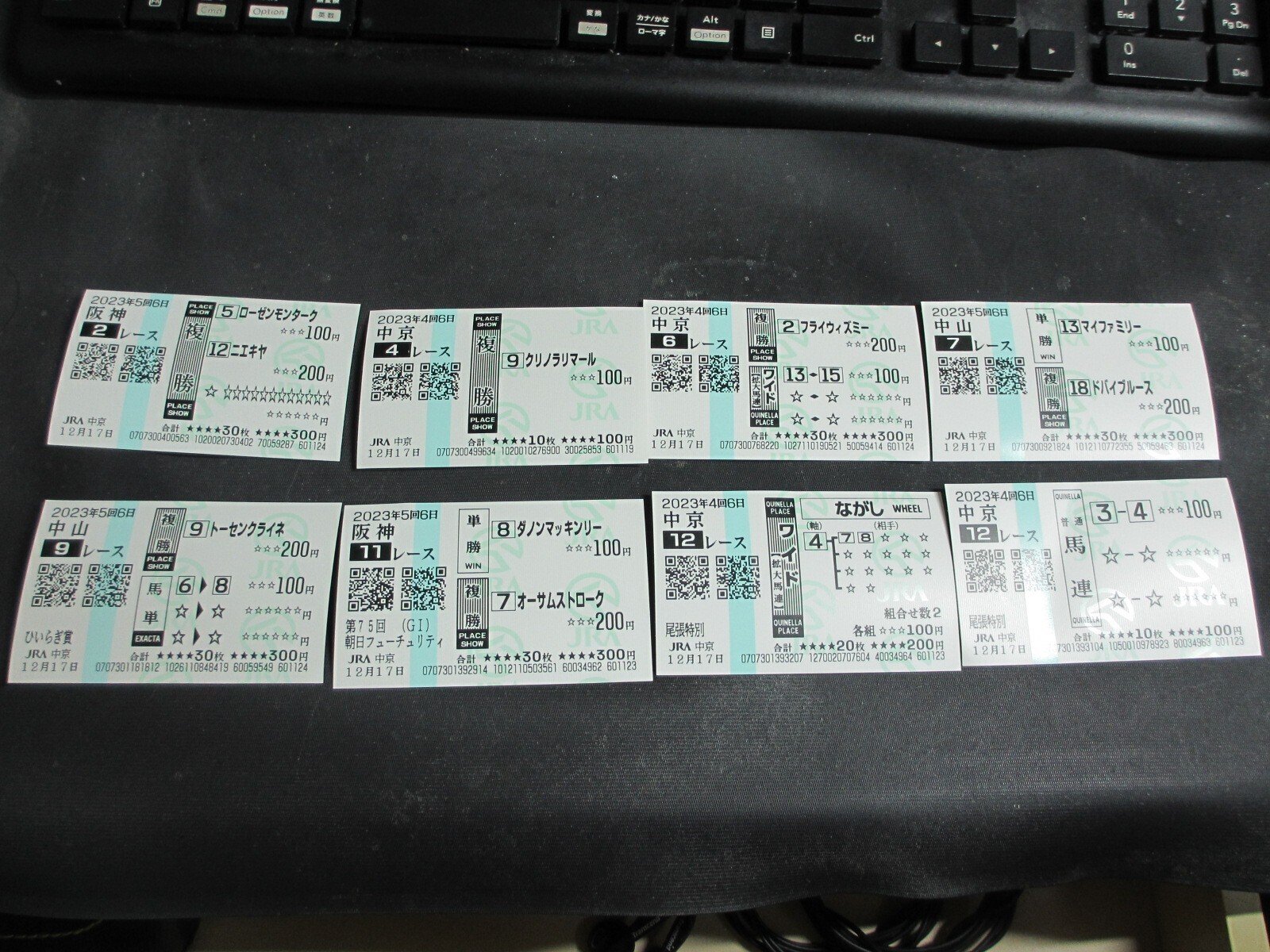 人生初競馬場・12/17中京競馬！｜京染しおつ