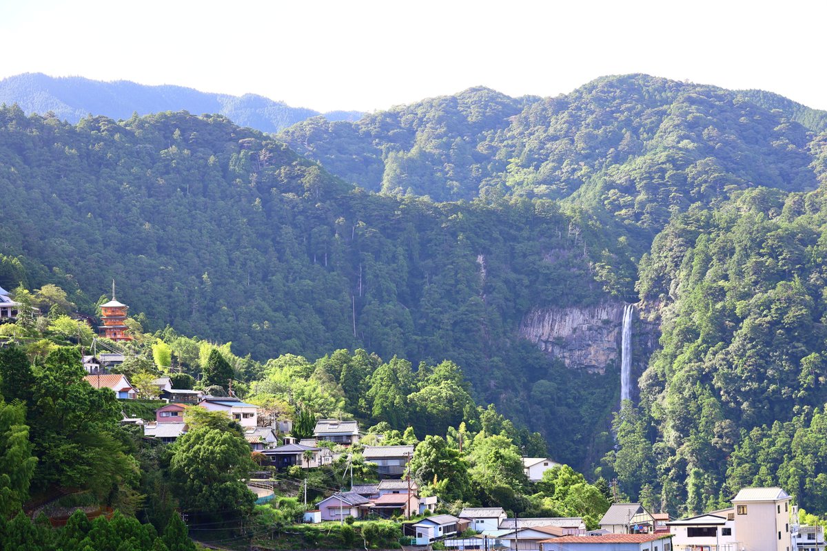 紙本條幀 那智大瀑の一幅掛軸 茶色