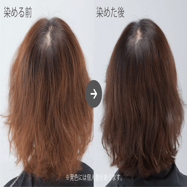 Os Natural Henna【定番4色/お色の選び方篇】｜osi organic