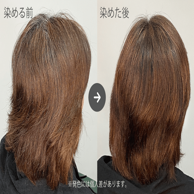 Os Natural Henna【定番4色/お色の選び方篇】｜osi organic