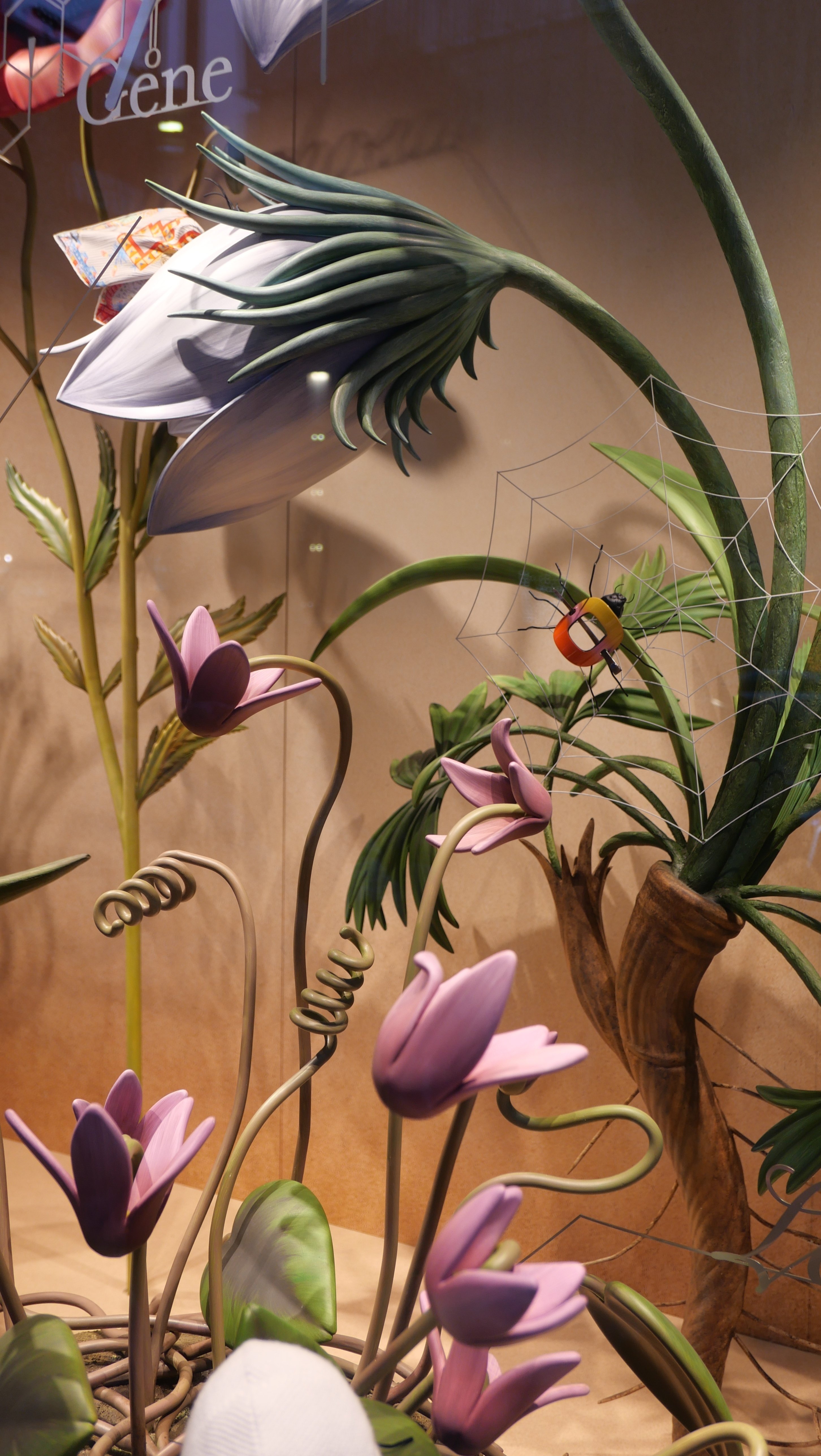 虫たちが戯れる東 信さんの植物図鑑 / 銀座メゾンエルメス ウィンドウ