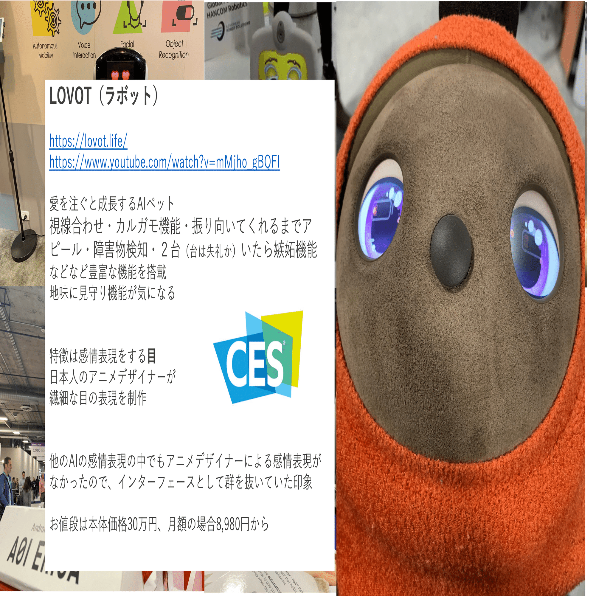 LOVOTから学ぶ顧客体験の重要性｜りょうさん（石井 亮介）