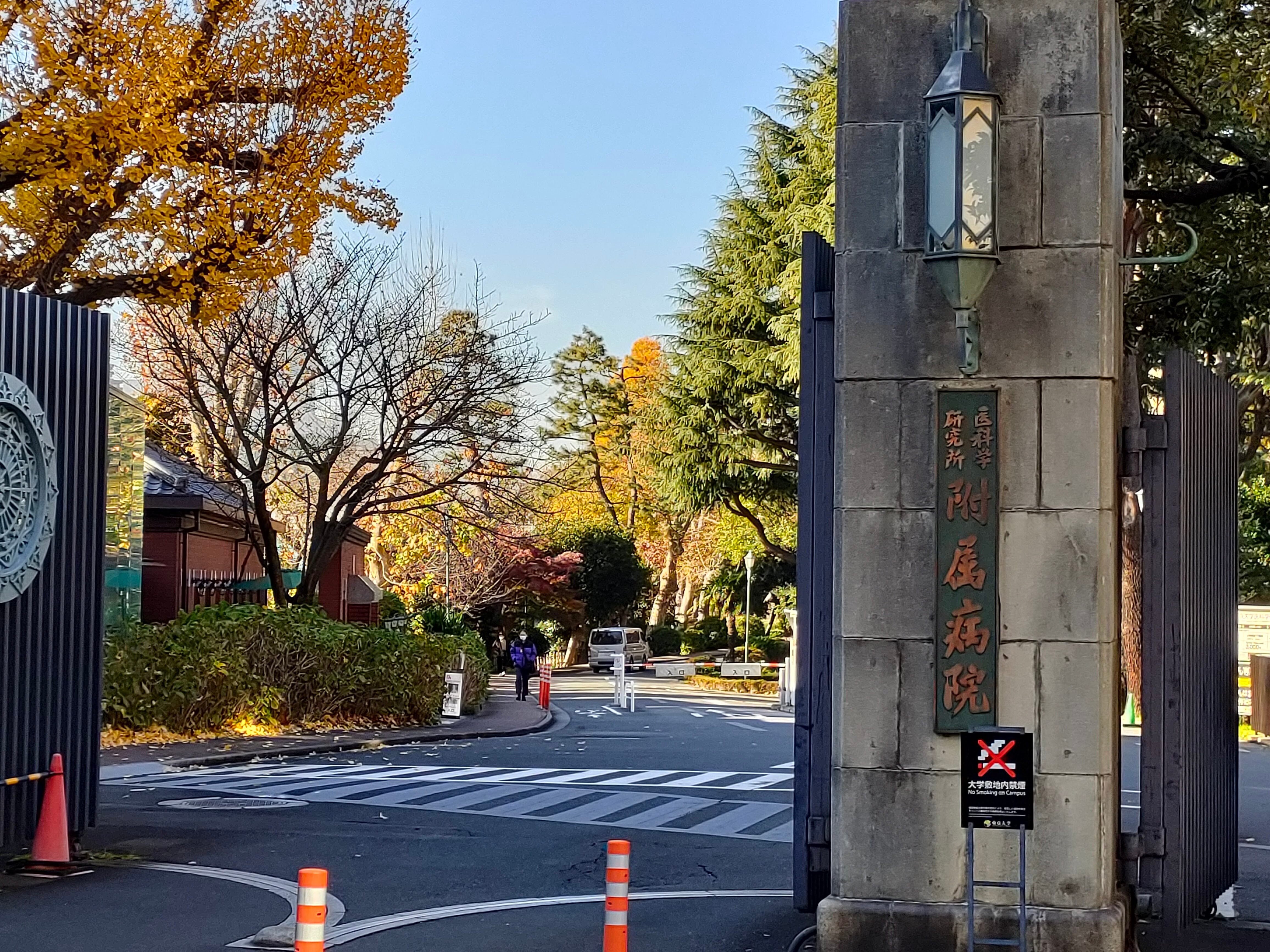 sakuの東京散歩日記①港区立郷土歴史館｜saku