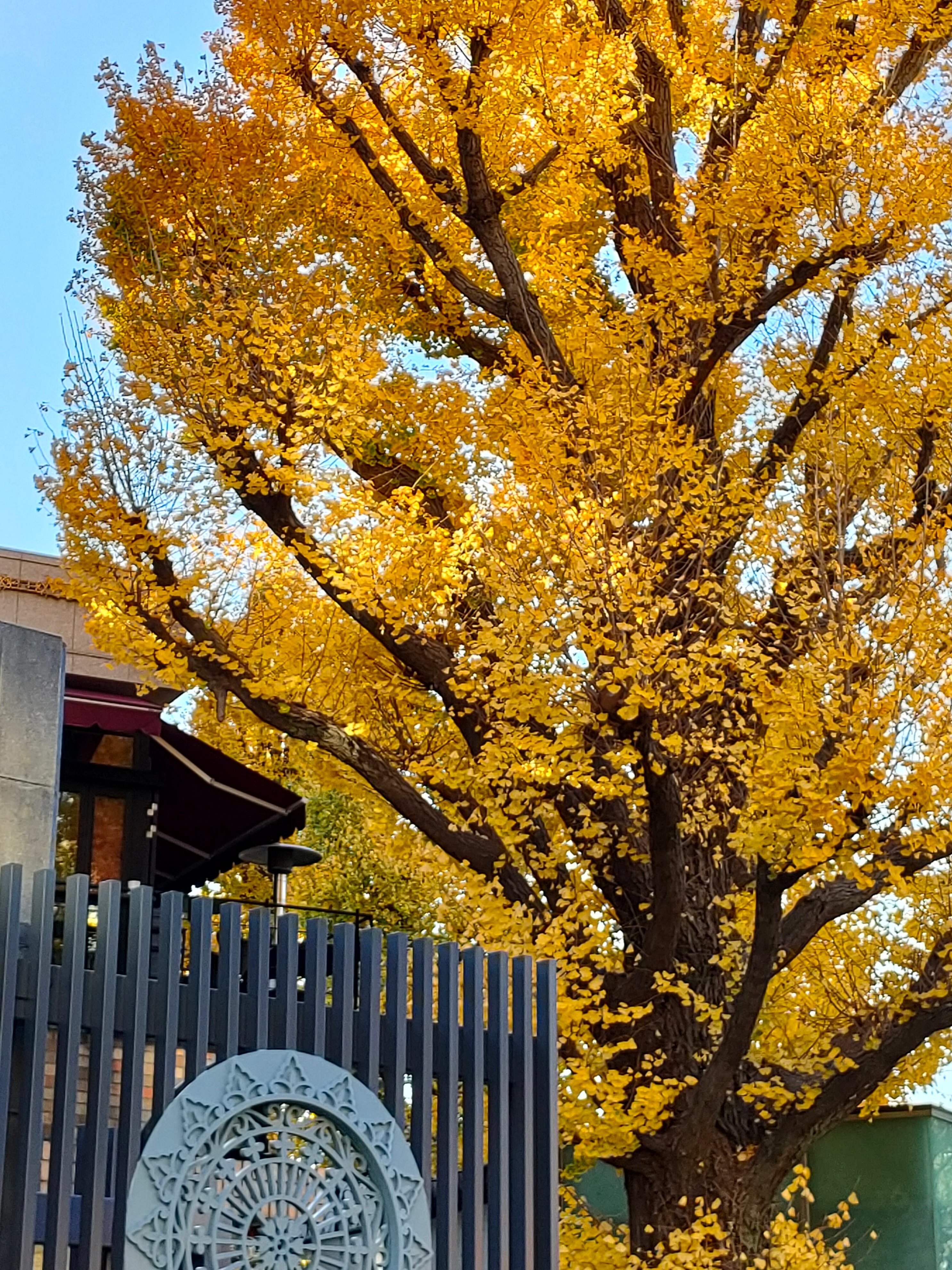 sakuの東京散歩日記①港区立郷土歴史館|saku sakuの東京散歩日記①港区立郷土歴史館|saku