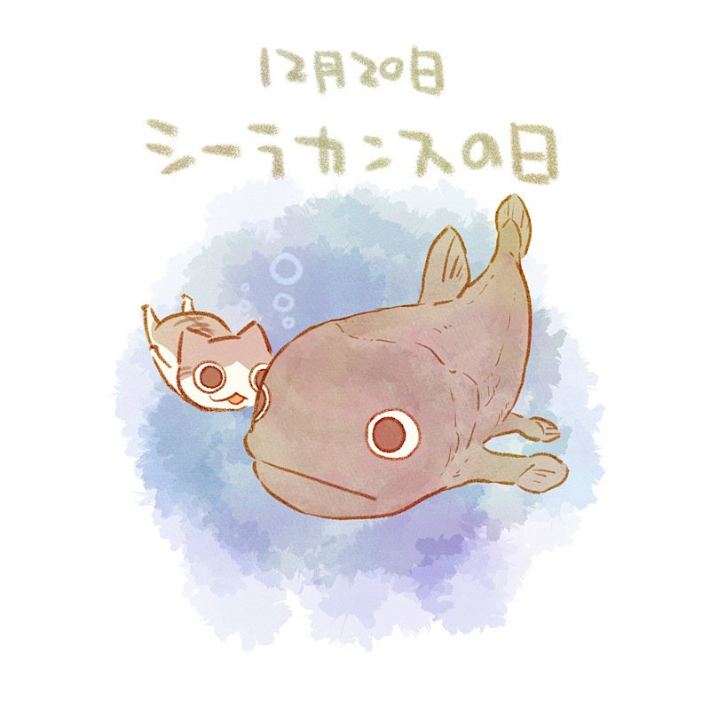 シーラカンスの日｜赤沢 佳