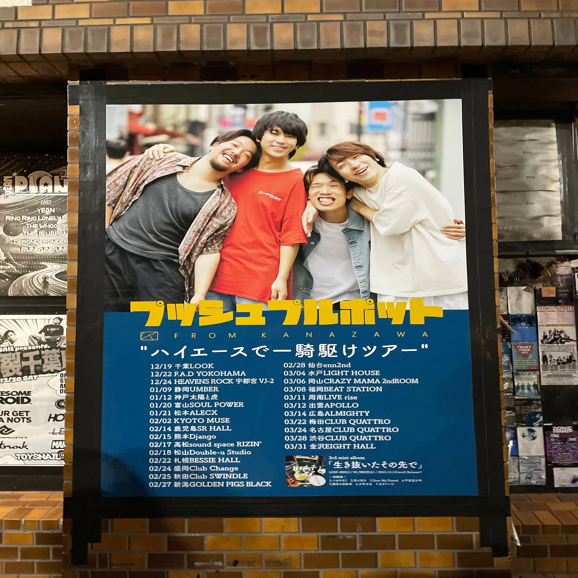 プッシュプルポット