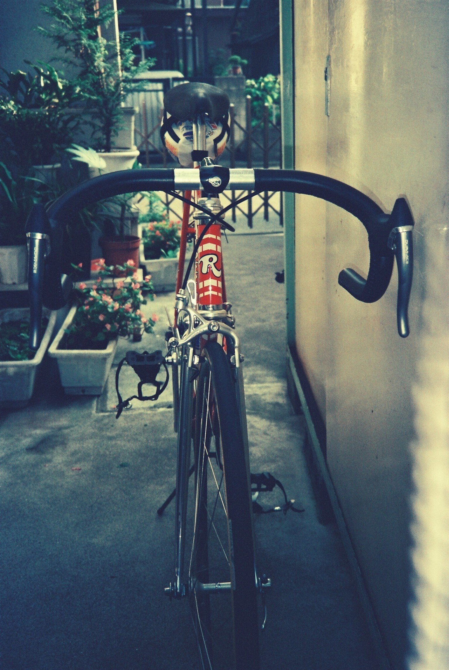 Rossin Record 1989 at Yokohama|vogue-rider Rossin Record 1989 at Yokohama|vogue-rider